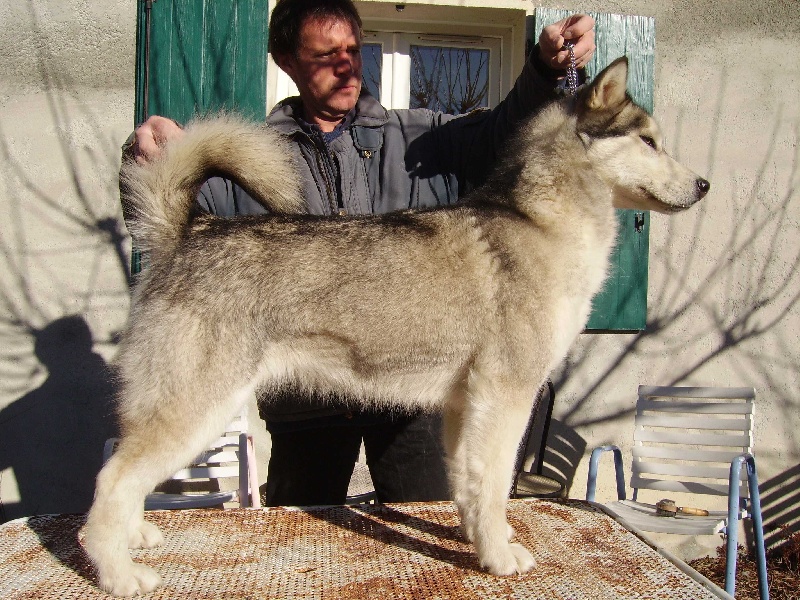 Epona okkomut des rives du haut Verdon